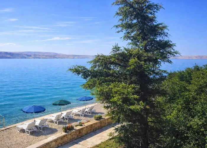 Apartmani Ribarica****