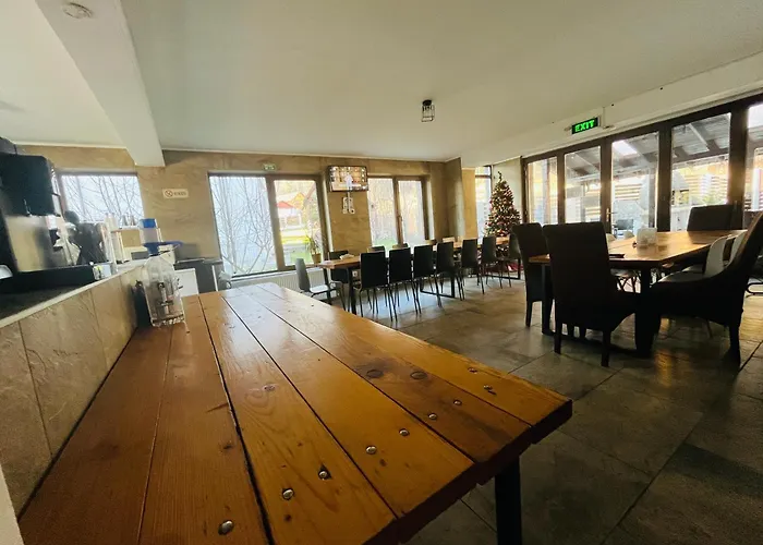 Vila Mama Jana Buşteni