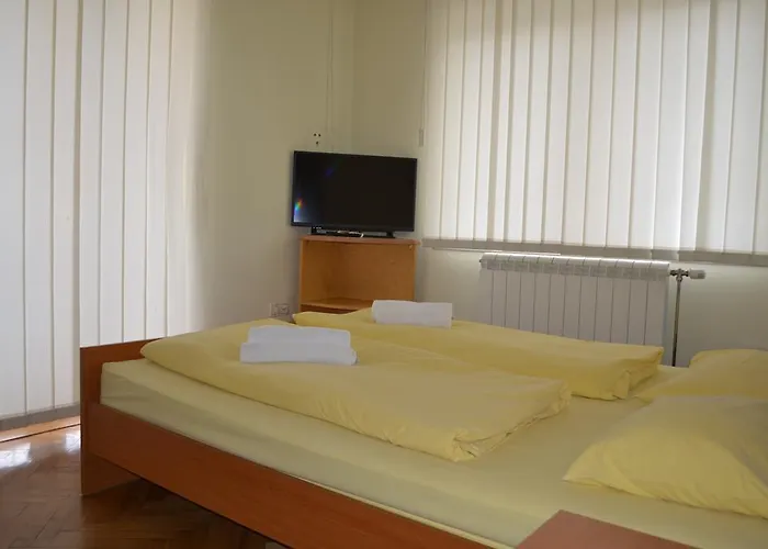 Apartments Tanja Banja Koviljača