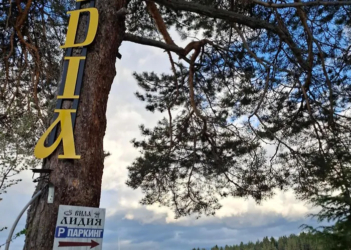 Vila Lidia Tsigov Chark