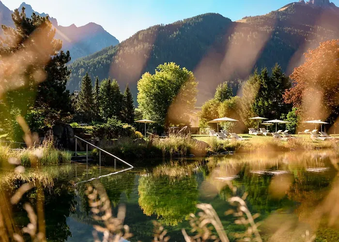 Forster'S Naturresort