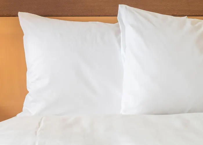 Holiday Inn Plovdiv By Ihg
