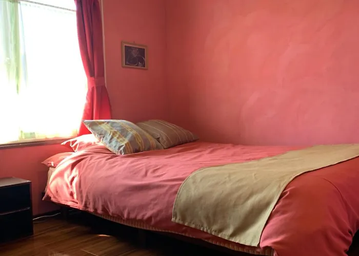 Cozy Penguin House Bibai Hotel