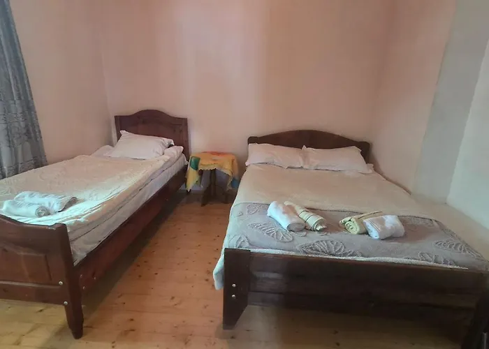 Nino & Tarzan Guesthouse Adishi