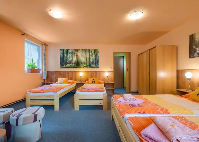 Penzion U Kocoura Desna 