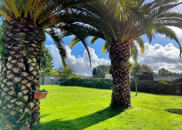 Hotel Mar De Frisia O Pino