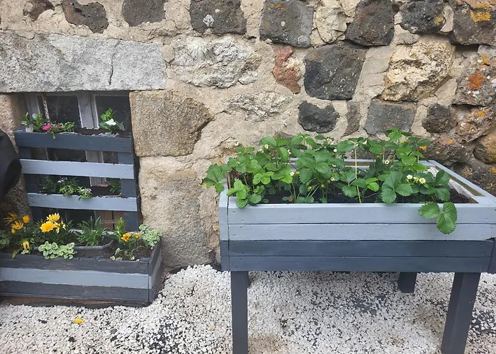 Maison d´hôtes La Dromandise