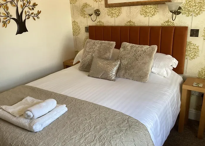 Forest Guest House