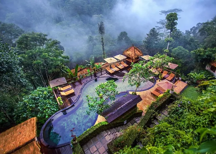 Nandini Jungle by Hanging Gardens