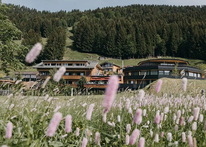 Torghele'S Wald & Fluh