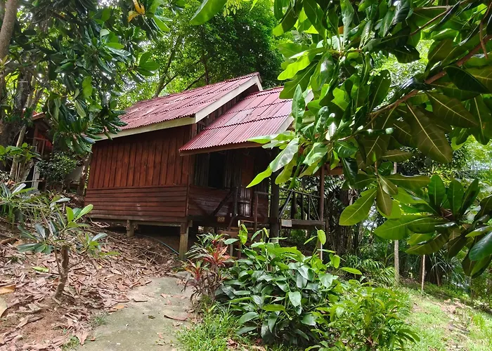 Jungle Hill Beach Bungalow