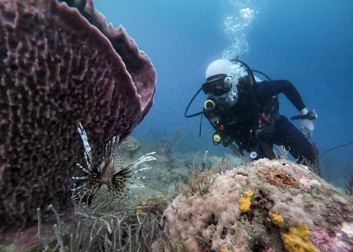 Ocean Lovers Taganga - Padi Dive Center & Hostel