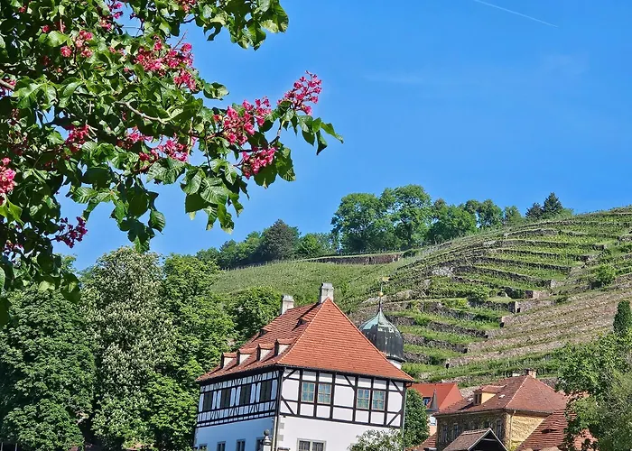 Am Elberadweg
