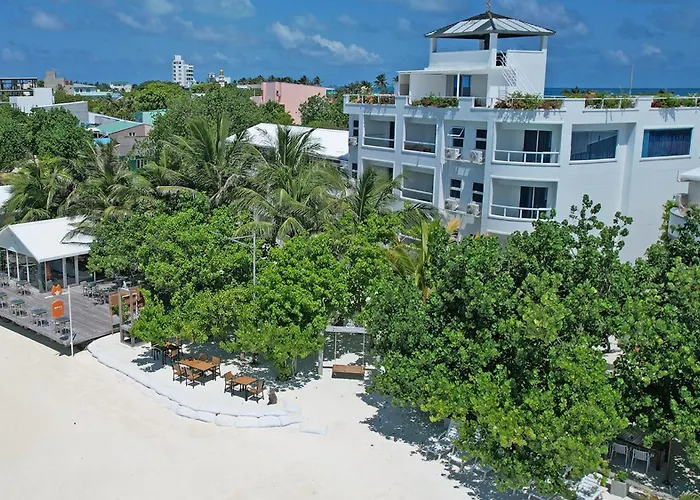 Rashu Hiyaa