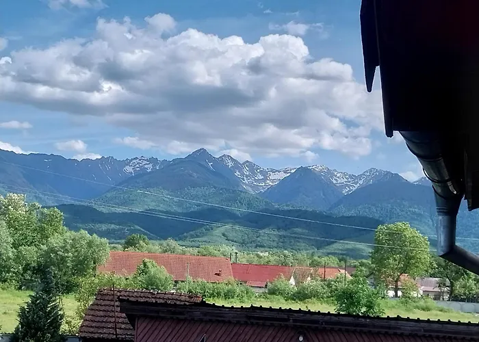 Serena House Cîrţişoara
