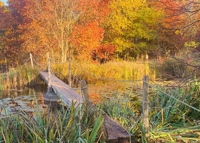 Waldhof zu Grillenburg im Tharandter Wald am See