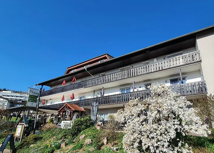 Haus am Park