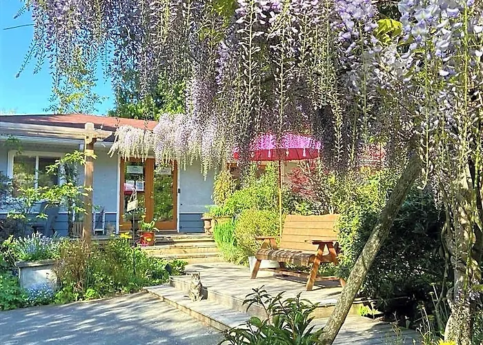 Wisteria Guest House