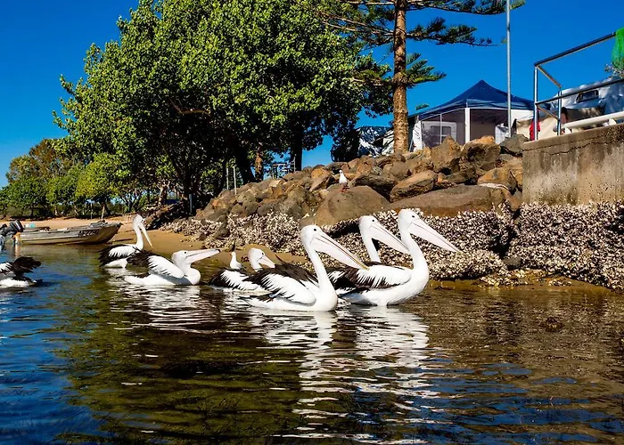 Reflections Massy Greene - Holiday Park