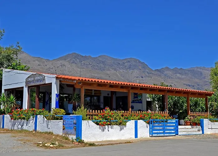 Hotel Orthi Ammos Frangokastello