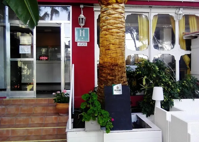 Hostal Alce Playa de Palma 
