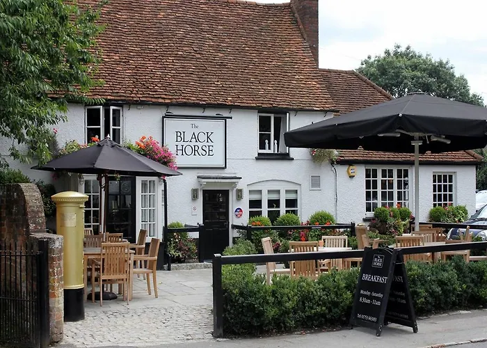 The Black Horse Fulmer