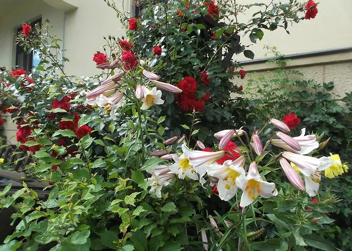 Pension Vogtländer Plauen