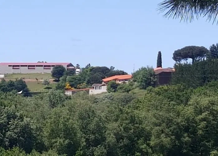 Casa Felisa Marcelle