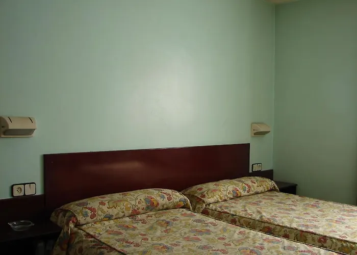 Hostal Del Ripolles