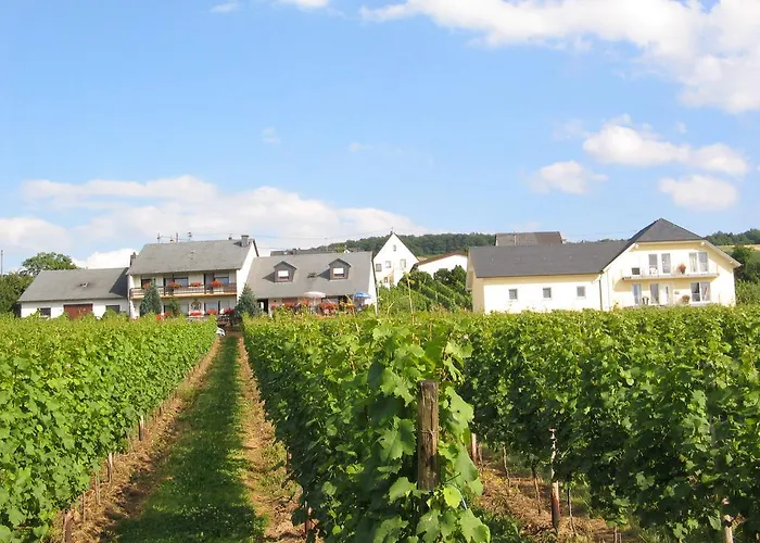 Pension und Weingut Moselblick Brauneberg