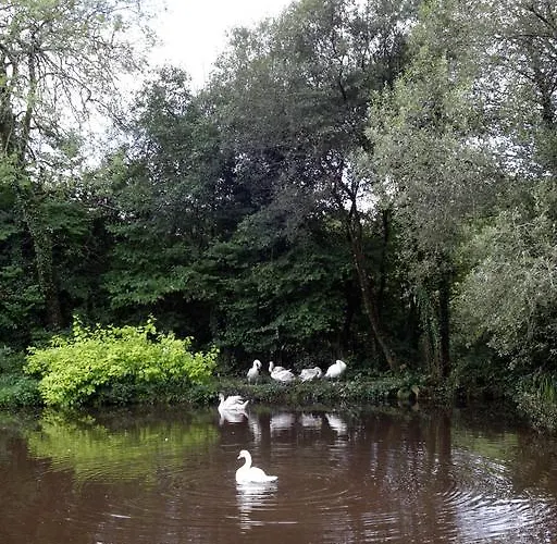 Fferm Y Felin Hotel Carmarthen