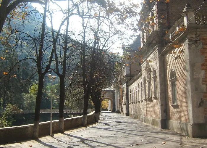 Vila Turistica Floare De Colt Băile Herculane