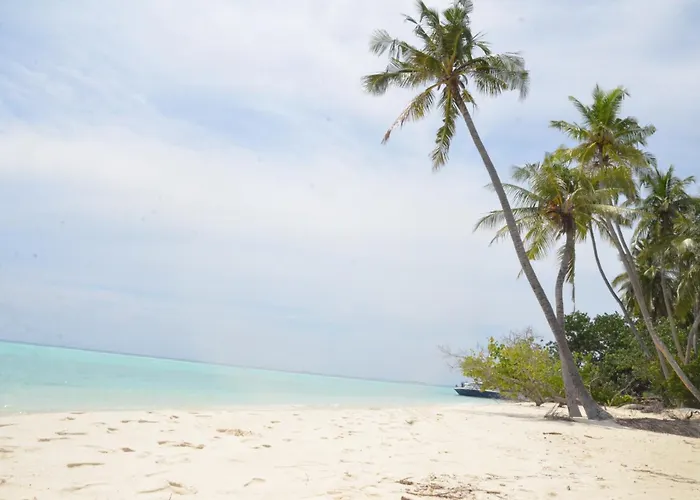 Island Break