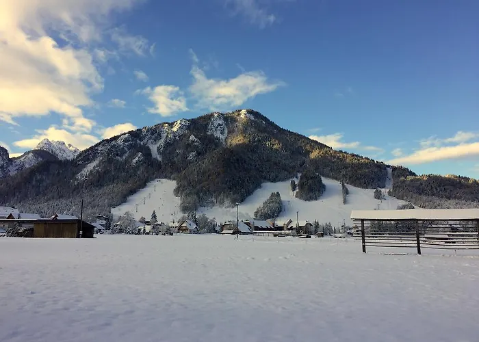 Apartmaji In Sobe Tina Kranjska Gora