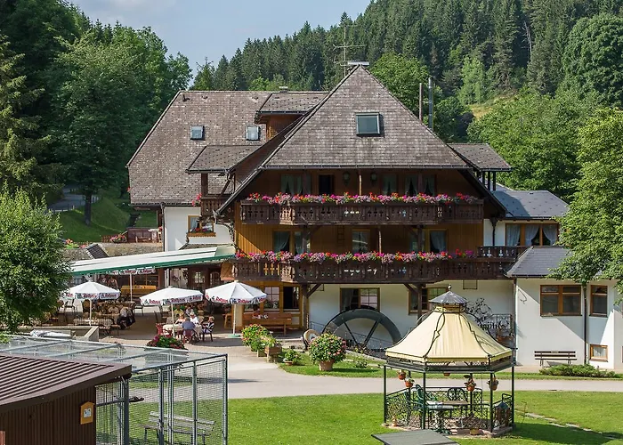 Hotel Tannenmühle