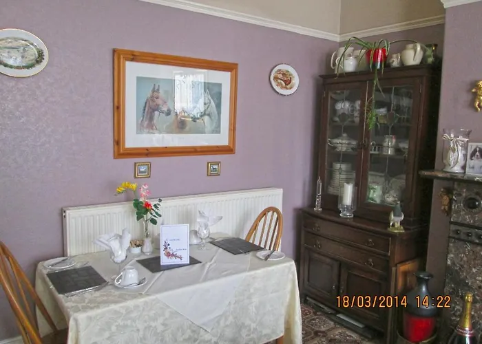 Camellia Lodge Guest House