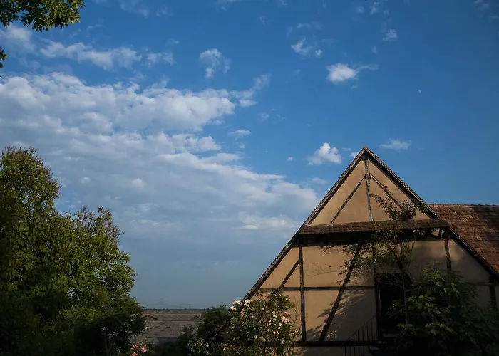Hotel Unter Der Linde Nordheim