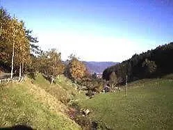 Waldgasthof Altersbach Waldkirch