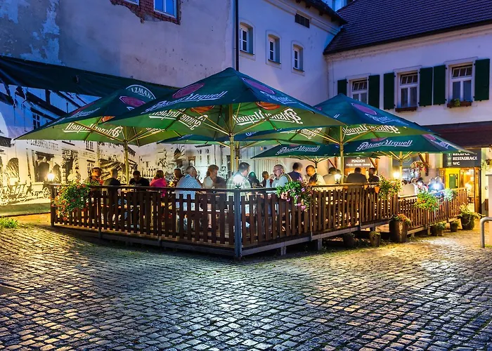 Hotel U Salzmannů Pilsen