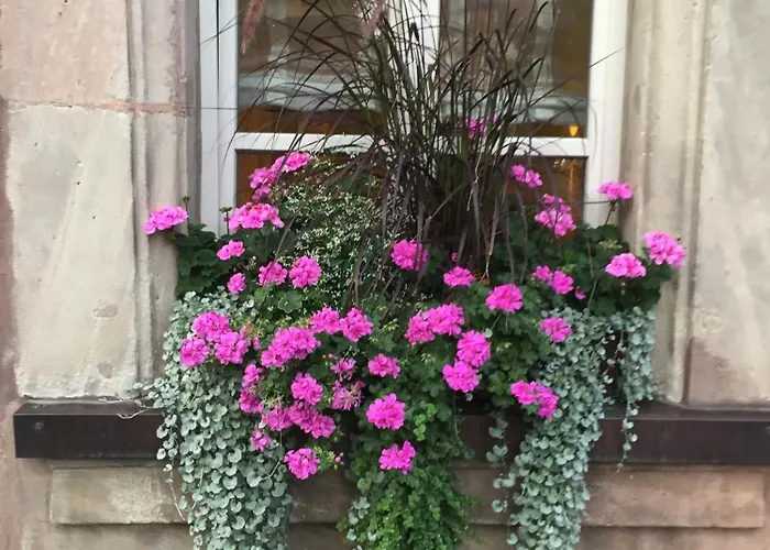 Hotel Altmann's Stube Erlangen