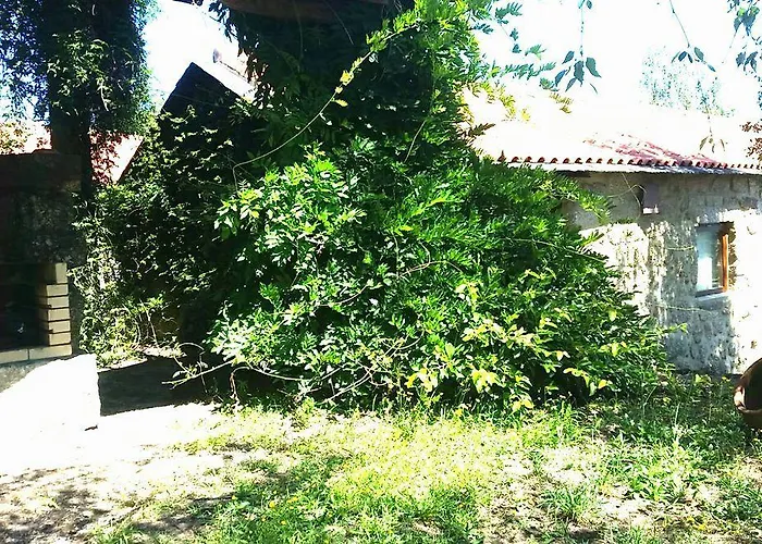Quinta De Abol De Baixo
