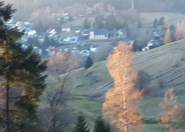 Pension Waldidyll Stützerbach