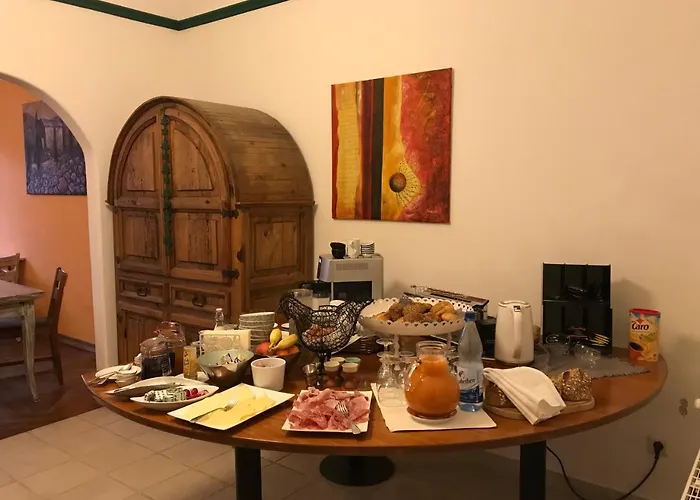 Vivo-Vino
