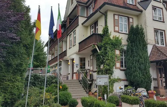 Hotel Il David