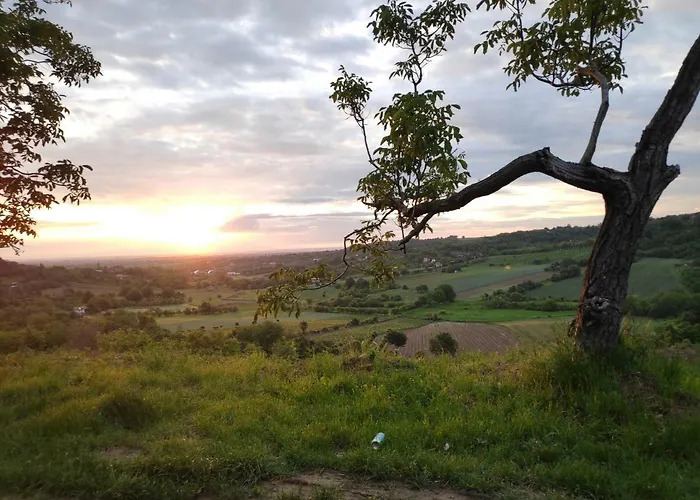 Just Nature Novi Sad