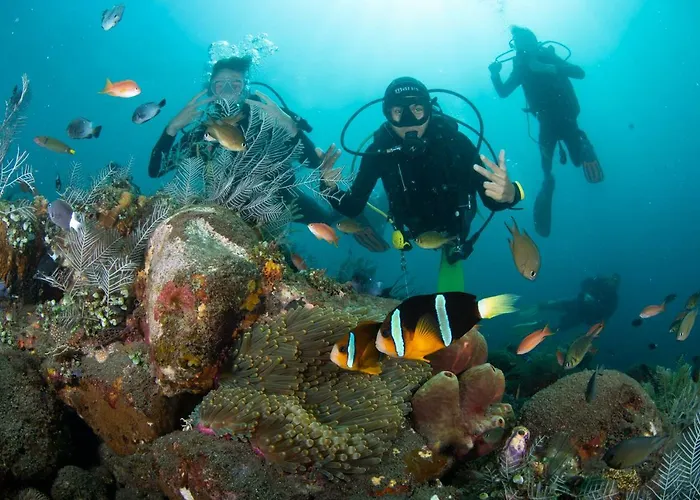 Bali Dive Resort Amed