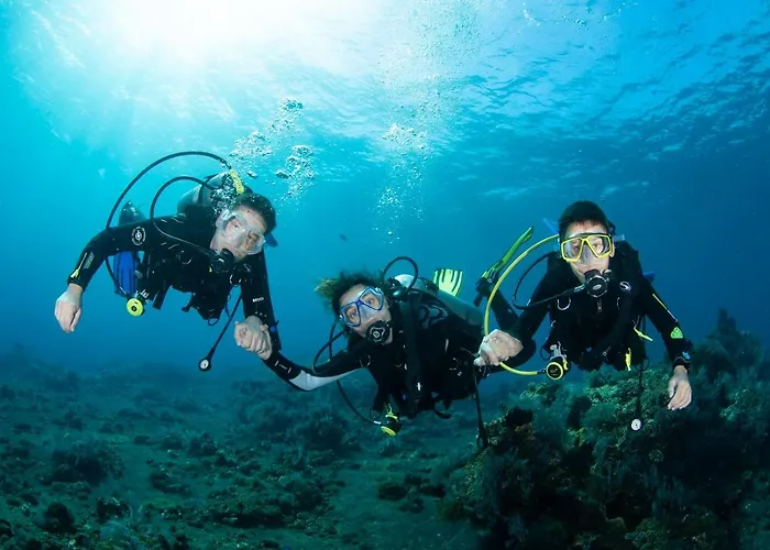 Bali Dive Resort Amed