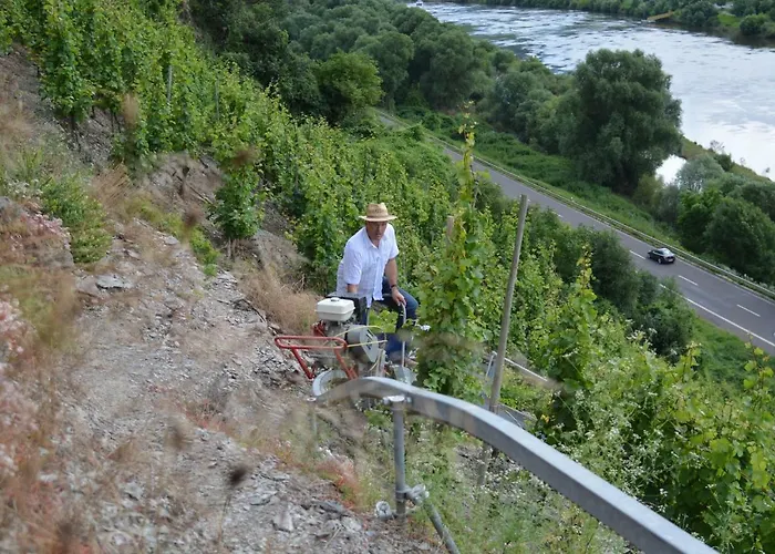 Weingut***Pension Günther Scholtes Leiwen