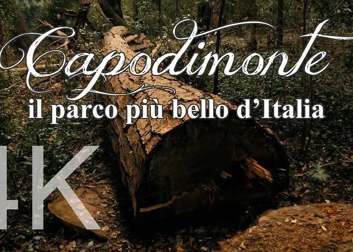 Alla Corte Del Re Dimora Storica