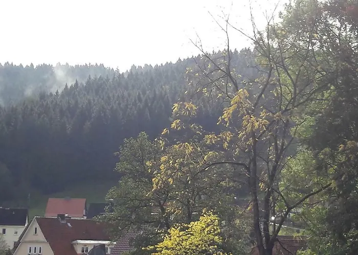 Villa Pusteblume Bad Grund